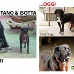 Tristano e Isotta