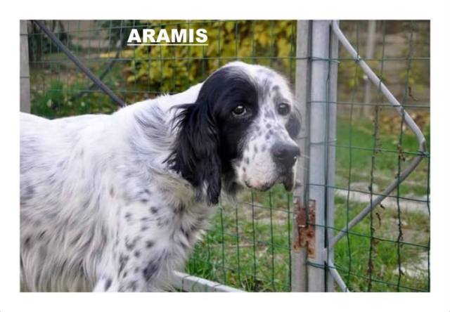 aramis