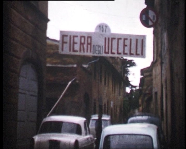 fiera_uccelli_