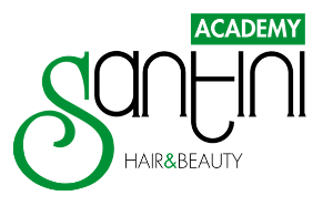 santini_academy-logo_300px