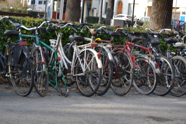 fiab federerazione italiana amici della bicicletta firenze