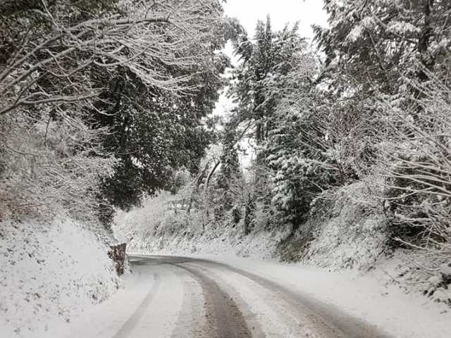 neve_ponte_a_cappiano_fucecchio_