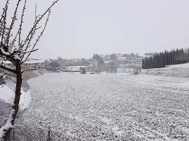 neve_ponte_a_cappiano_fucecchio_2