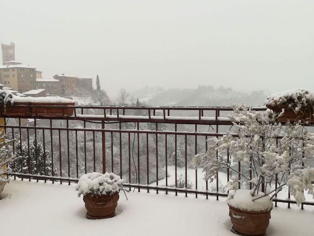 neve_san_miniato11we_