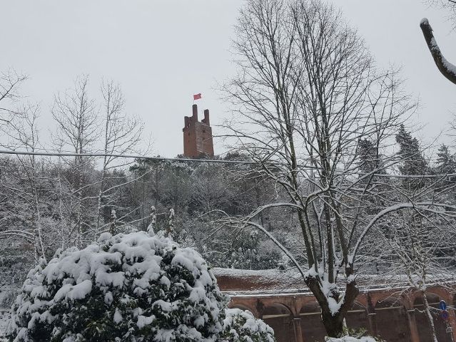 neve_san_miniato_proprie_1