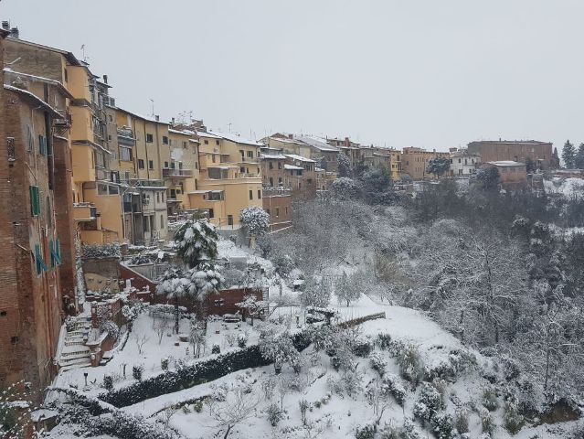 neve_san_miniato_proprie_6