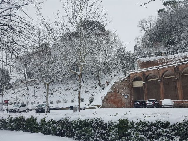 neve_san_miniato_proprie_8