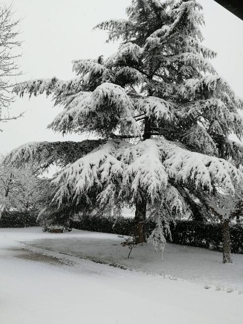 neve_san_pierino_fucecchio_