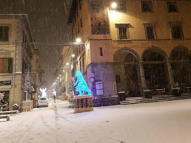 nevicata_neve_pontedera_2018_03_01__5