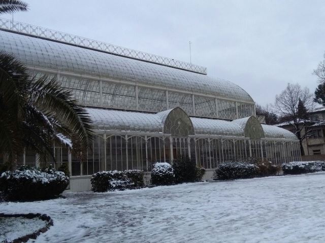 orticoltura_firenze_neve