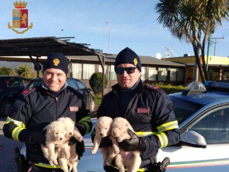 polizia_cagnolini_agenti_controlli_2018_12_11_