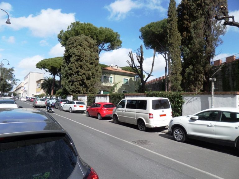 parcheggio selvaggio a Pisa