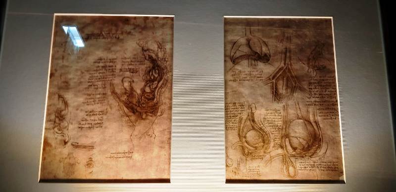 vinci_mostra_cinquecentenario_leonardo_05