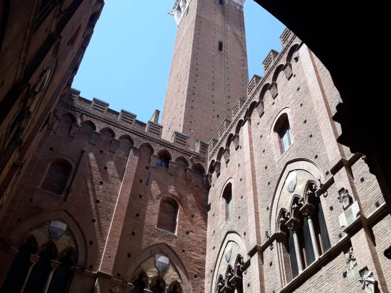 PALIO_SIENA_GENERICA_1