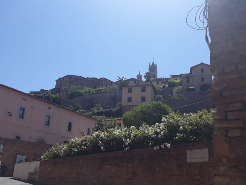 PALIO_SIENA_GENERICA_6