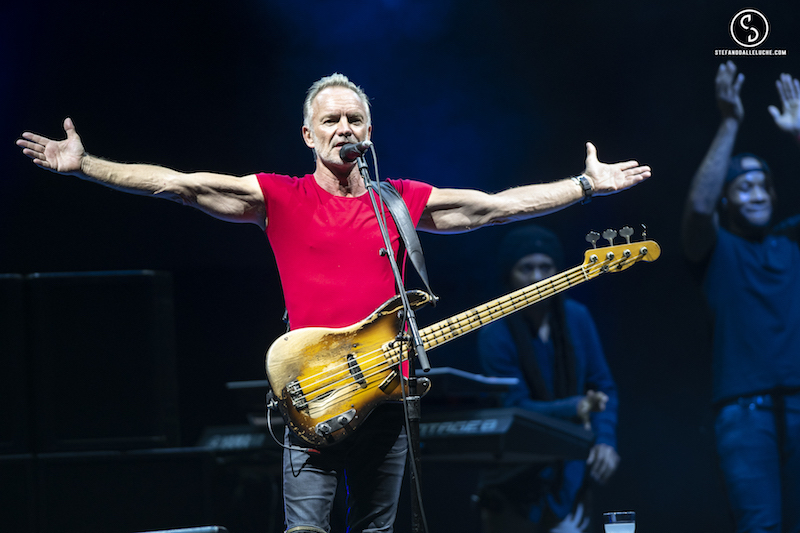 STING | Photo: Stefano Dalle Luche  //  My Page : www.facebook.com/stedallephoto // My instagram : www.instagram.com/stedallephoto //