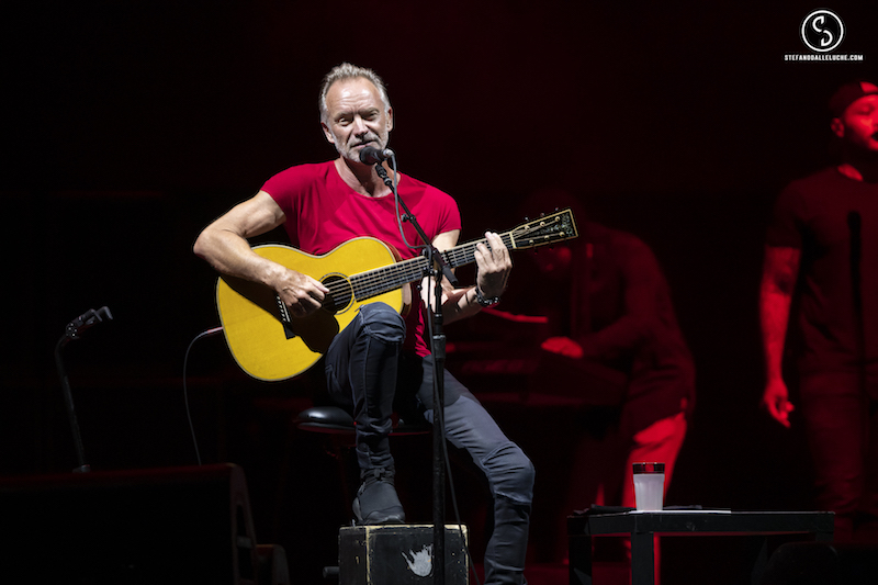 STING | Photo: Stefano Dalle Luche  //  My Page : www.facebook.com/stedallephoto // My instagram : www.instagram.com/stedallephoto //