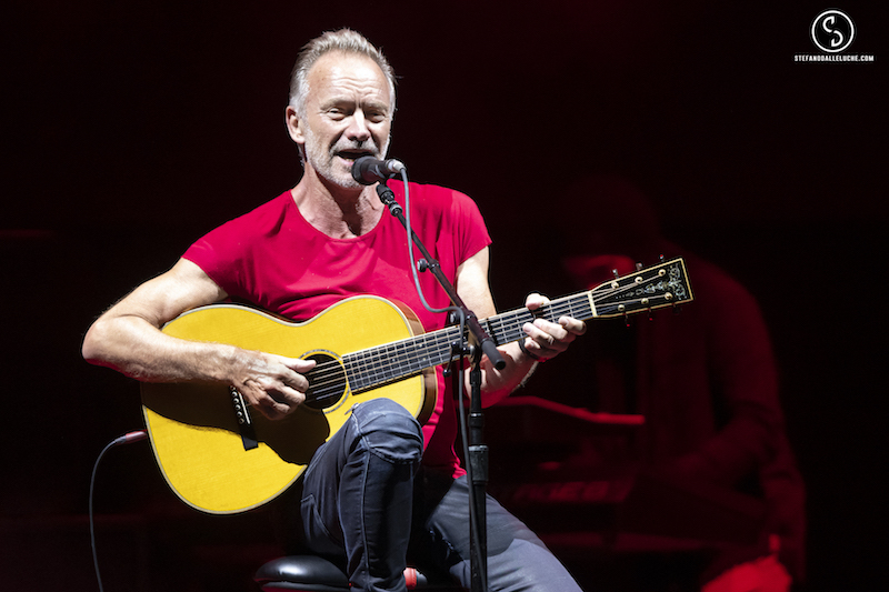 STING | Photo: Stefano Dalle Luche  //  My Page : www.facebook.com/stedallephoto // My instagram : www.instagram.com/stedallephoto //