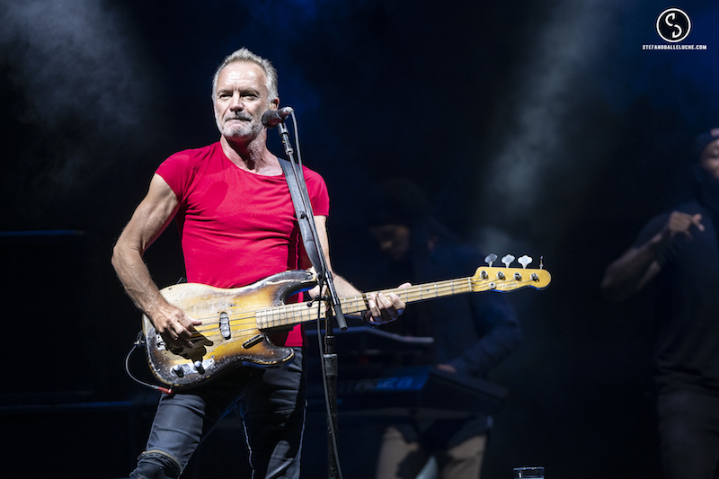 STING | Photo: Stefano Dalle Luche  //  My Page : www.facebook.com/stedallephoto // My instagram : www.instagram.com/stedallephoto //