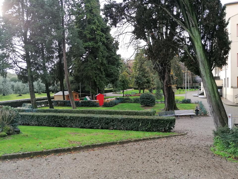 pino_secolare_gambassi_terme_giardino_1