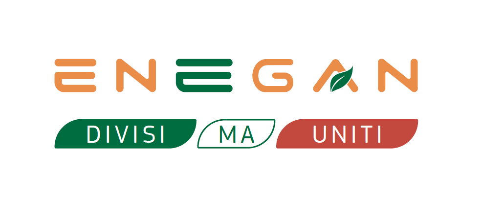 logo enegan