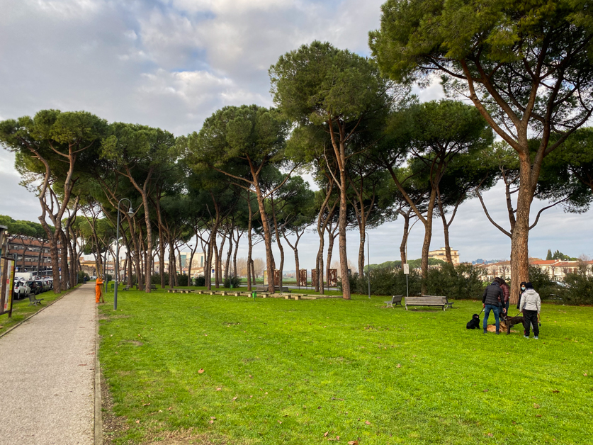 Piantumazione_alberi_piazza_ristori-1