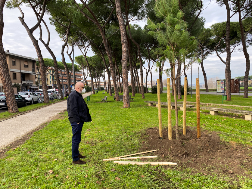 Piantumazione_alberi_piazza_ristori-21