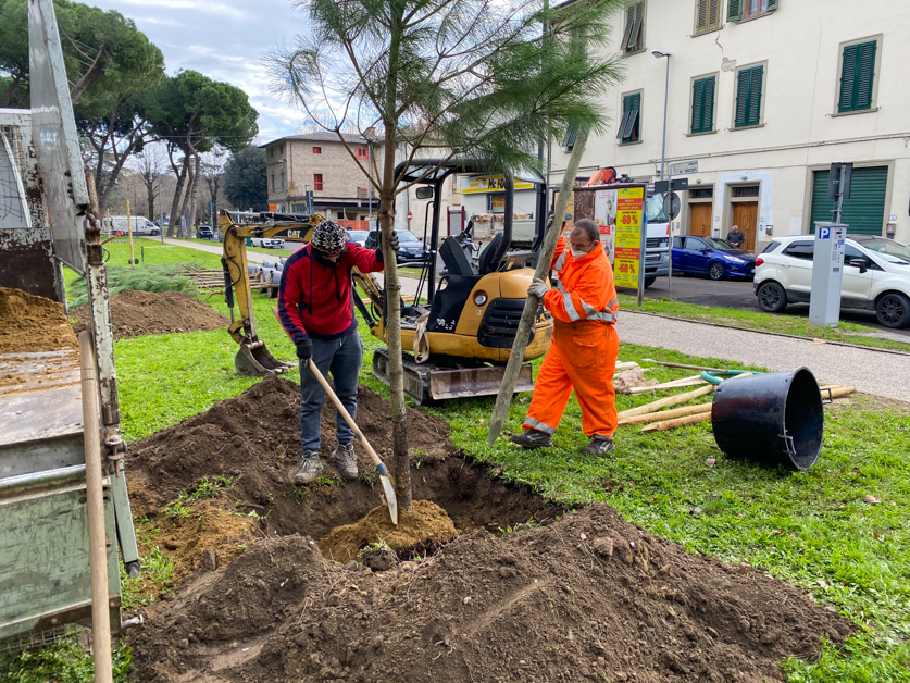 Piantumazione_alberi_piazza_ristori-22