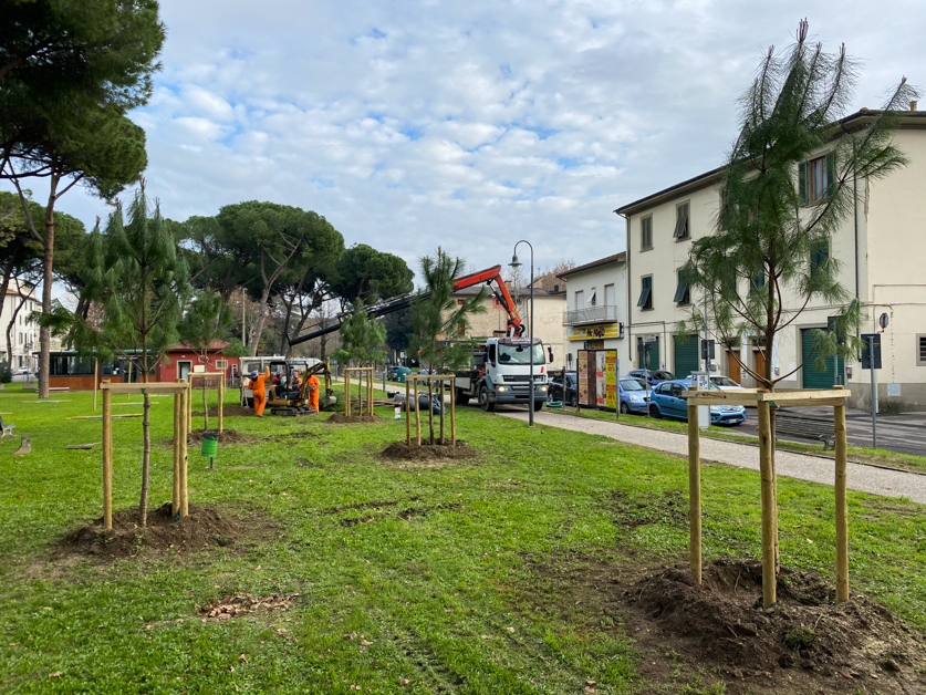 Piantumazione_alberi_piazza_ristori-26