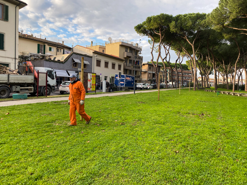 Piantumazione_alberi_piazza_ristori-8