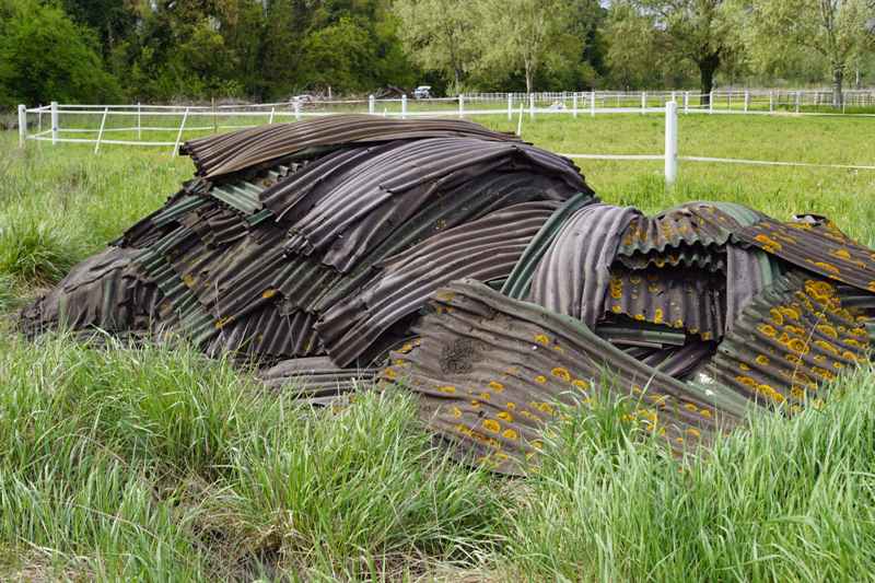 discarica abusiva provincia prato (10)