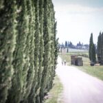 eroica montalcino 2021