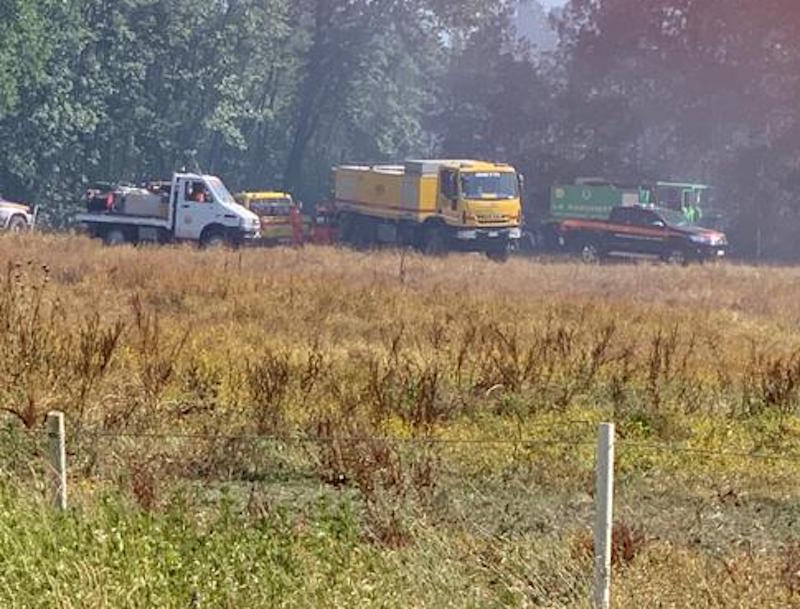 incendio cerbaie staffoli