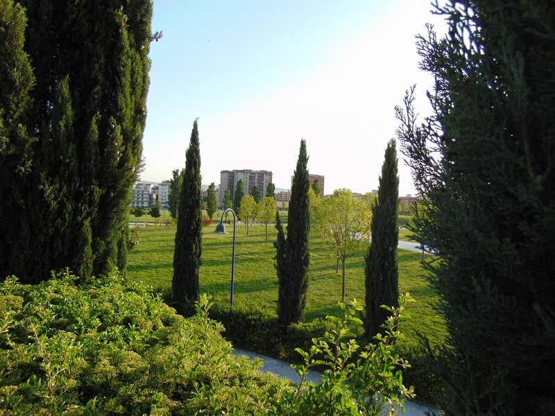 san donato sito comune