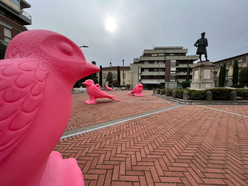 Animali_Natale_Pontedera_2021__9