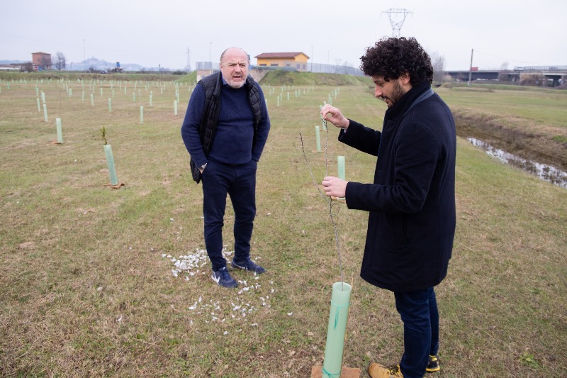 empoli_bosco_terrafino_2022_4