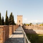 https://www.gonews.it/wp-content/uploads/2022/05/Torre_Santa_Maria_Mura_Pisa_2022__-150x150.jpg
