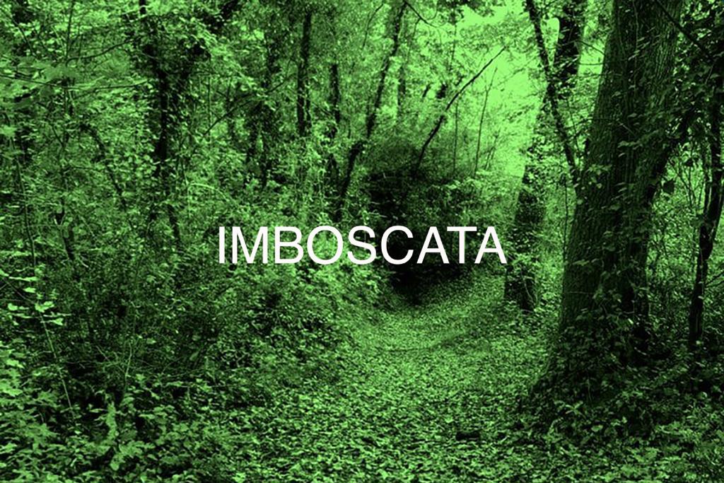 imboscata