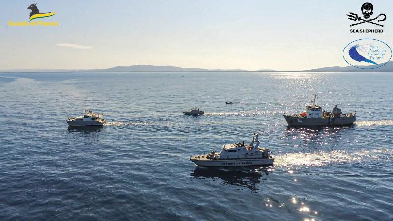 pesca_frodo_gdf_sea_shepherd_2022_17