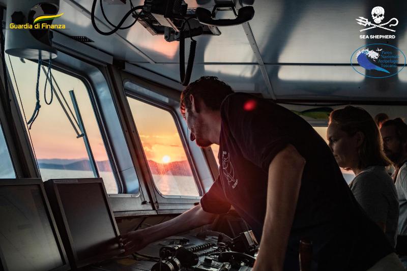 pesca_frodo_gdf_sea_shepherd_2022_2