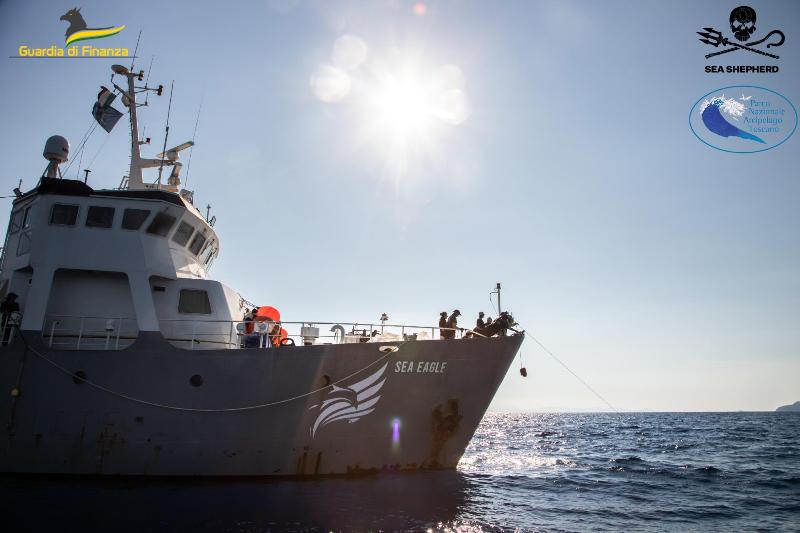 pesca_frodo_gdf_sea_shepherd_2022_27