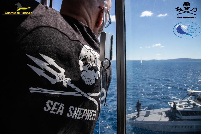 pesca_frodo_gdf_sea_shepherd_2022_28