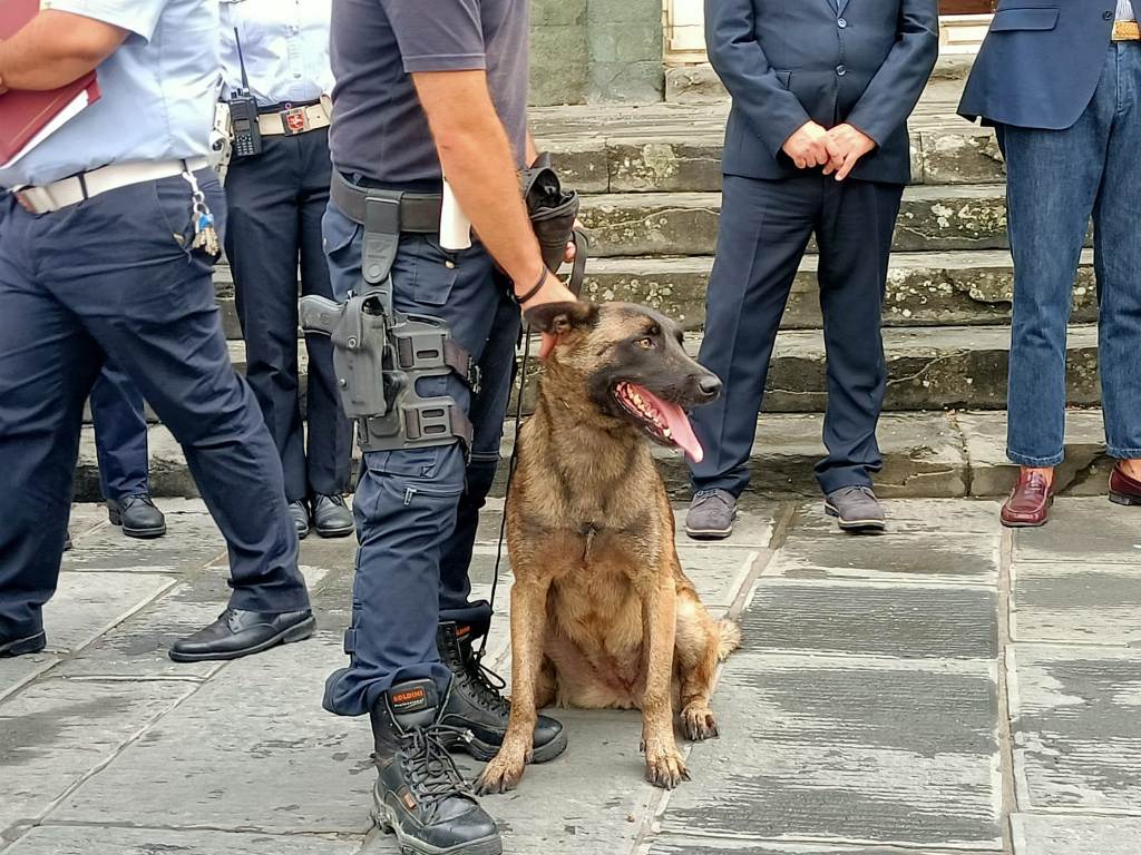 noa cane antidroga municipale unione