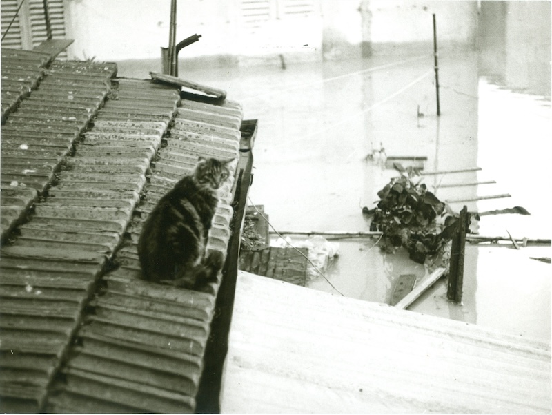 Alluvione_Empoli_Foto_Archivio_Storico_Comunale_2024__3