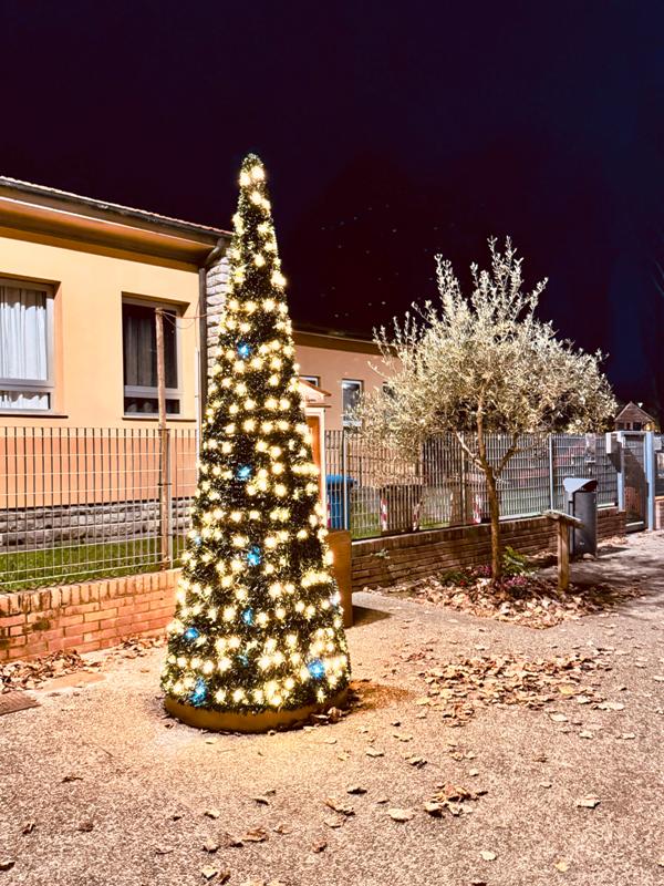 alberi_natale_pagnana_