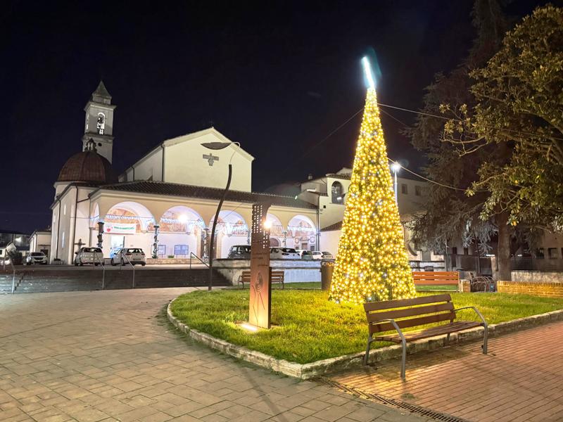 alberi_natale_santa_maria_