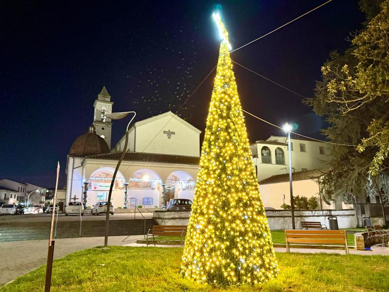 alberi_natale_santa_maria_1