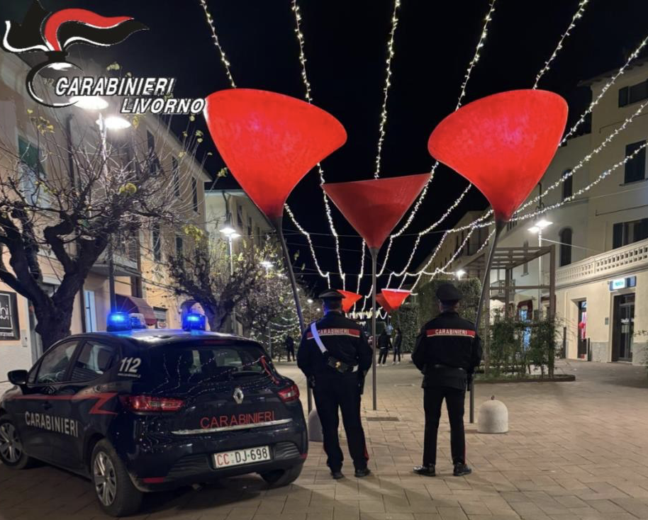 carabinieri livorno controlli genericaScreenshot 2024-12-26 alle 11.43.48