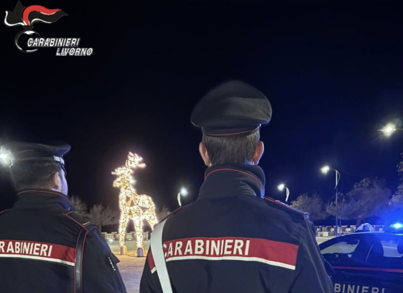 carabinieri livorno controlli genericaScreenshot 2024-12-26 alle 11.44.04