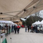 https://www.gonews.it/wp-content/uploads/2025/01/thumbnail_mercatale-larga-150x150.jpg